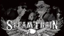 Steam Train - The Best of Country Rock