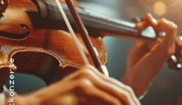 Vivaldi - Die Vier Jahreszeiten - Kammerorchester der Neuen Philharmonie Hamburg