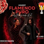 Flamenco Puro