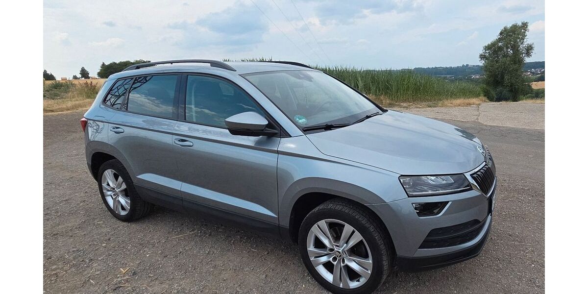 Skoda Karoq 98.200 km 17.888 &euro; Pirmasens 66954