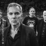 Dr. Feelgood - Tour 2027