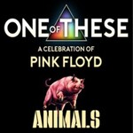 One Of These – A celebration of Pink Floyd / Animals Tour